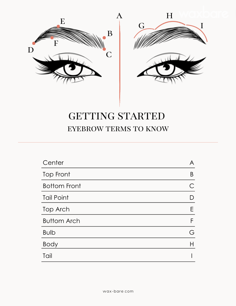 How To Create Symmetrical Eyebrows Waxbare How To Create Symmetrical Eyebrows Waxbare